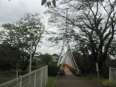 キッズダムの橋